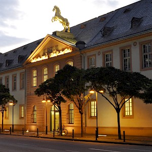 Flux4Art - Landesmuseum Mainz