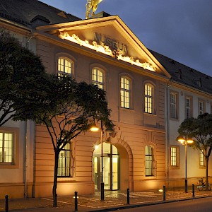 Flux4Art - Landesmuseum Mainz